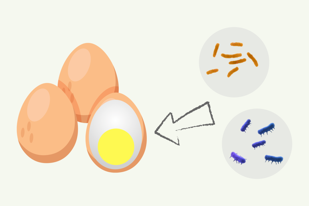 早上吃鸡蛋的好处有哪些，这3个错误的吃法一定要坚决避免！