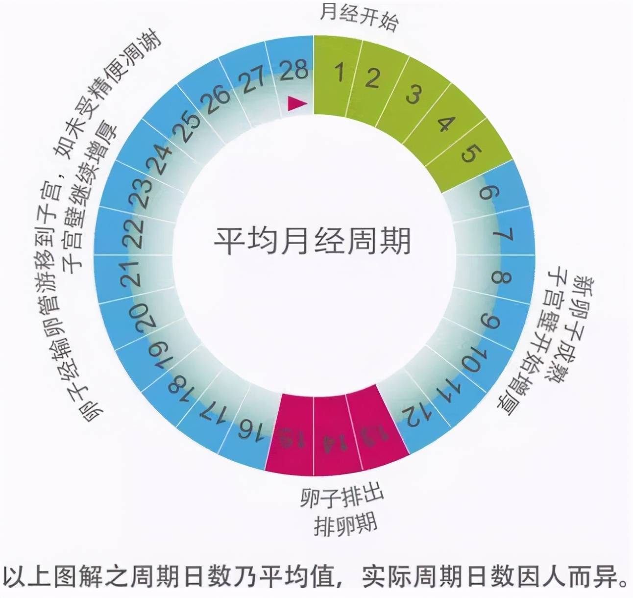 女性生理期科普：关于女性月经的5大知识