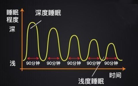 一个睡眠周期是多久，怎样知道自己的睡眠周期？