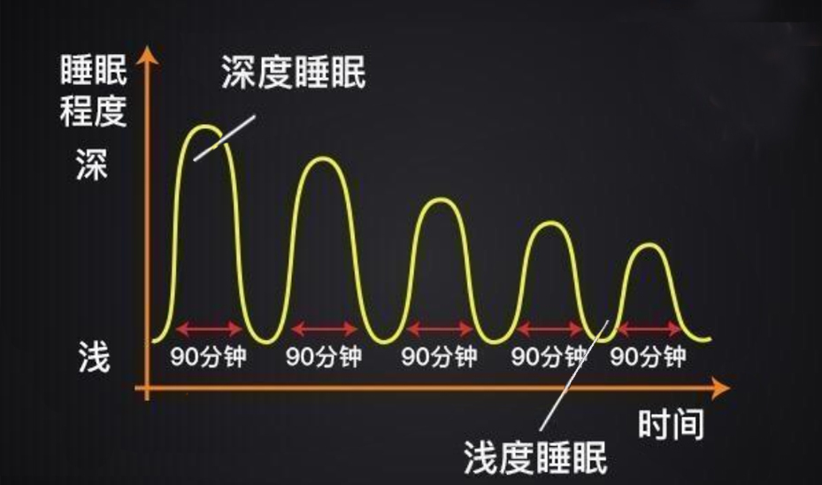 一个睡眠周期是多久，怎样知道自己的睡眠周期？