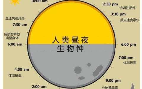 谷方益元：世界睡眠日，如何调整生物钟?