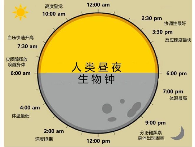 谷方益元：世界睡眠日，如何调整生物钟?