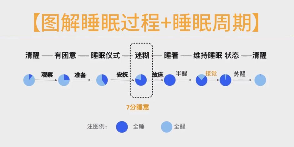 谷方益元：睡眠的几个关键阶段