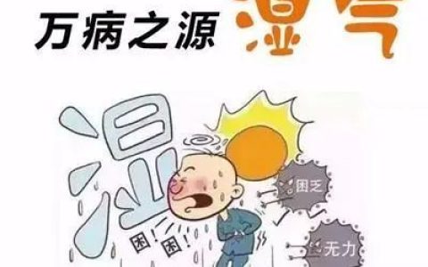 谷方益元：中医说的湿气重是什么意思？