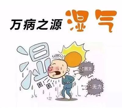 谷方益元：中医说的湿气重是什么意思？