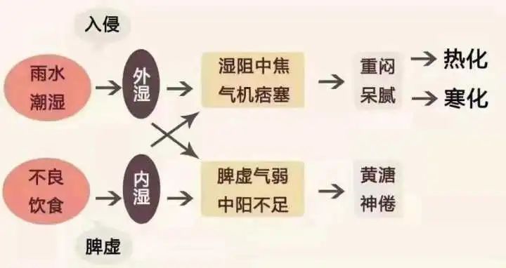 谷方益元：中医说的湿气重是什么意思？