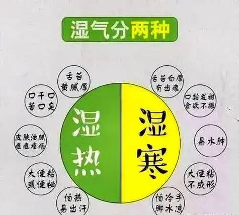 谷方益元：中医上的湿气分为几种？