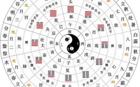 夏季在五行中属于什么？