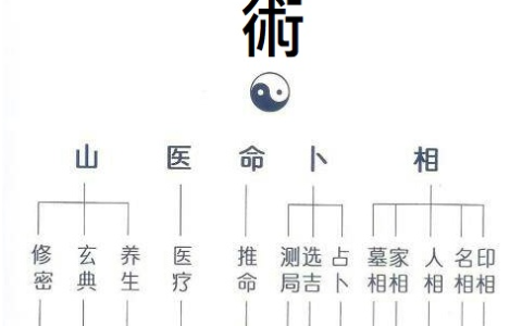 中医五术是指哪五术？