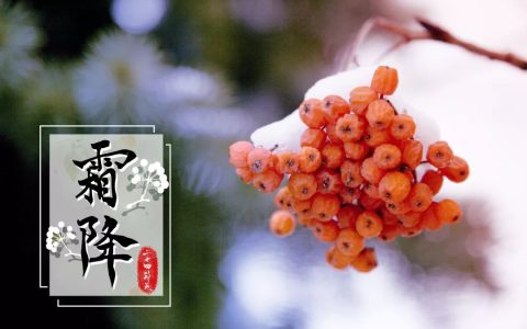 为什么说“最怕霜降晴”？揭开古老农谚背后的秘密