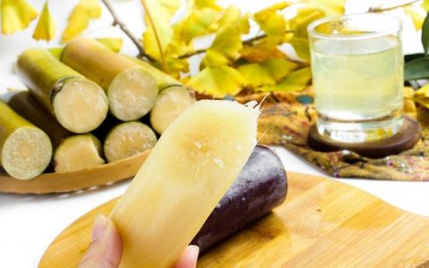 冬吃甘蔗胜过参：真有其事还是夸大其词？