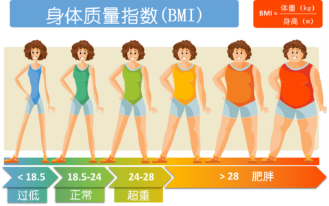用BMI衡量肥胖：是否已过时？