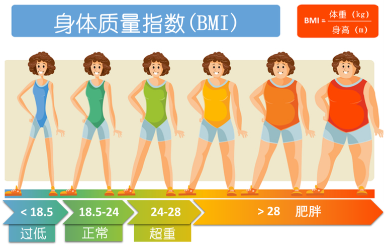 用BMI衡量肥胖：是否已过时？