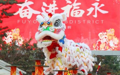 闹元宵：中华文化传统的撒欢节