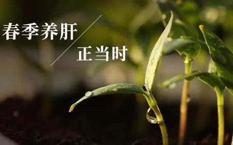 春养有道：三戒三食三护里的生机密码
