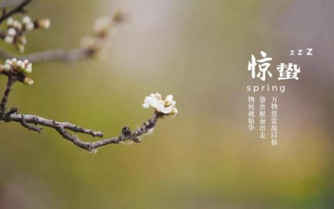 惊蛰养生：你的肝正在暴走，快喂它吃绿叶菜