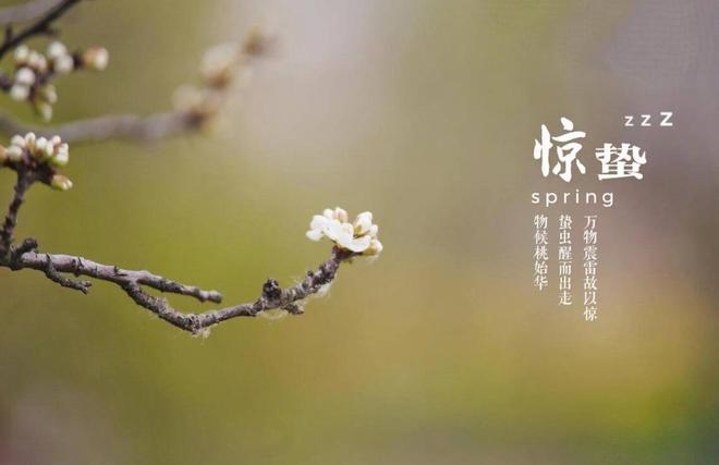 惊蛰养生：你的肝正在暴走，快喂它吃绿叶菜