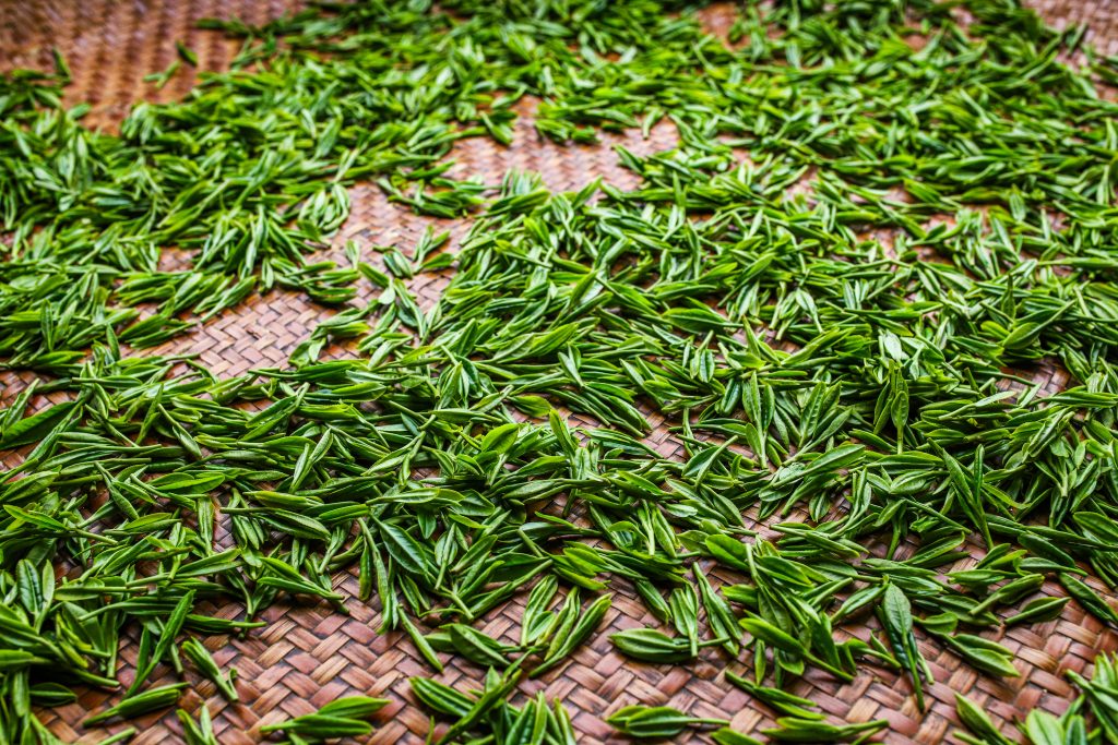 绿茶能抗氧化减肥吗？